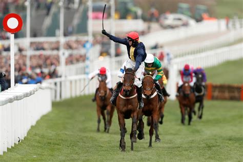 cheltenham race results live.